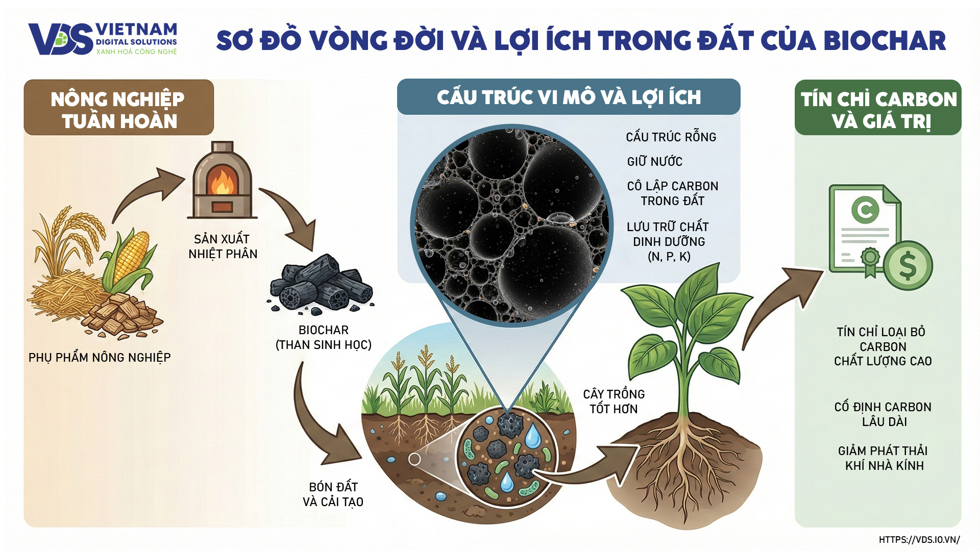 co-che-hoat-dong-biochar-trong-dat-tin-chi-carbon
