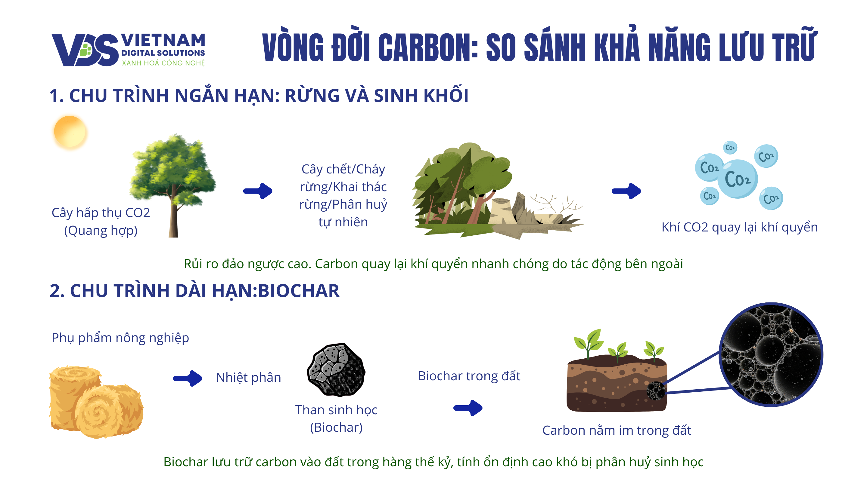 so-do-vong-doi-carbon-biochar-vs-rung
