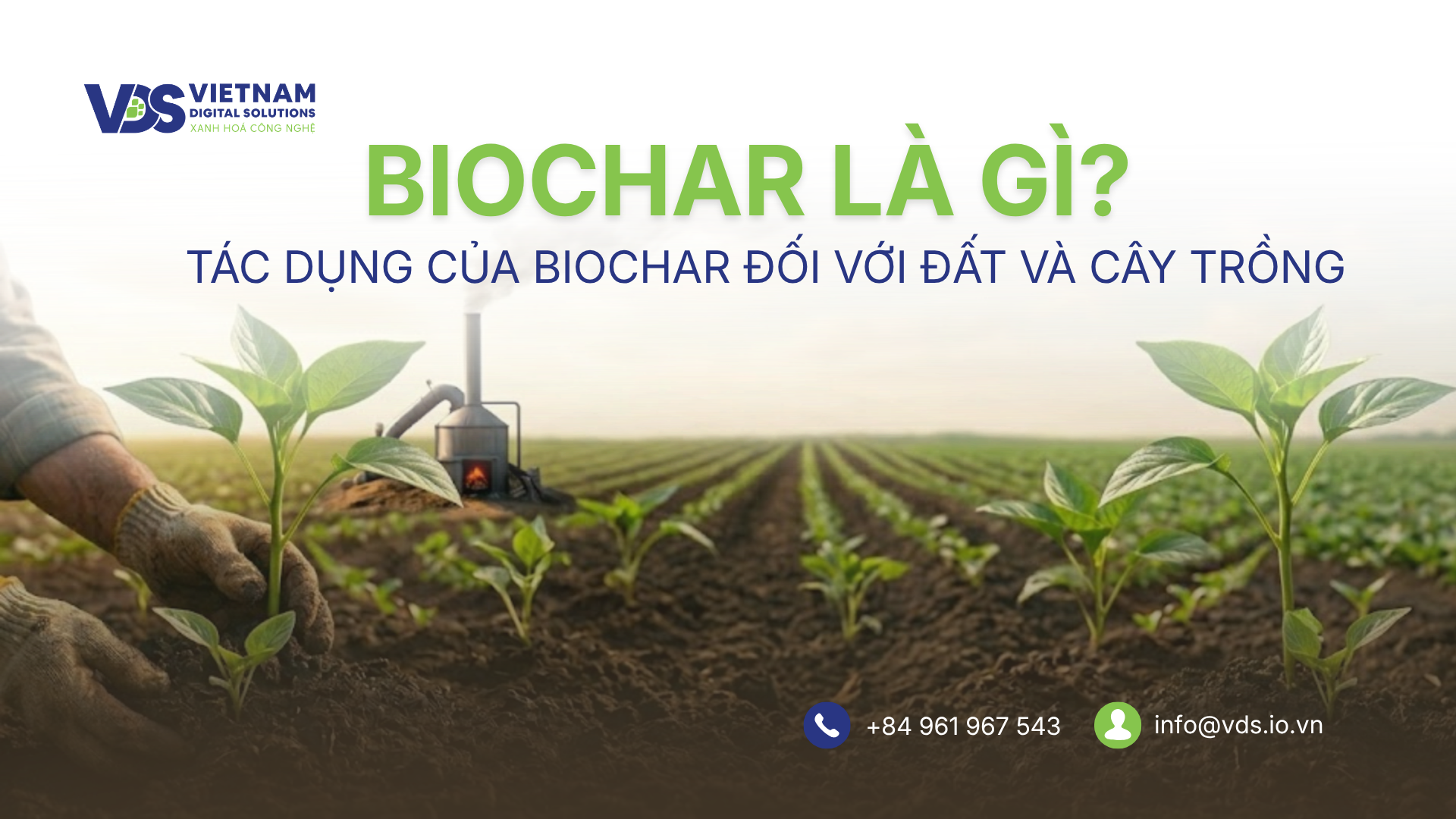 BIOCHAR LÀ GÌ? TÁC DỤNG CỦA BIOCHAR ĐỐI VỚI ĐẤT VÀ CÂY TRỒNG