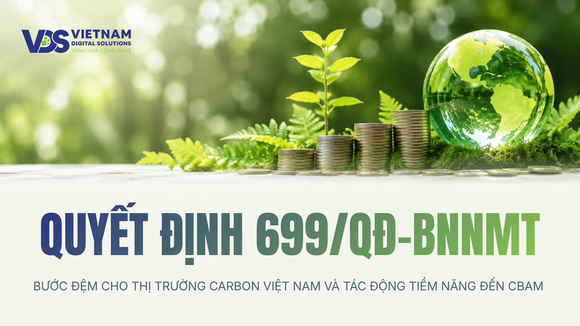 QUYẾT ĐỊNH 699/QĐ-BNNMT: BƯỚC ĐỆM CHO THỊ TRƯỜNG CARBON VIỆT NAM VÀ TÁC ĐỘNG TIỀM NĂNG ĐẾN CBAM